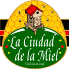 La Ciudad De La Miel 20x20